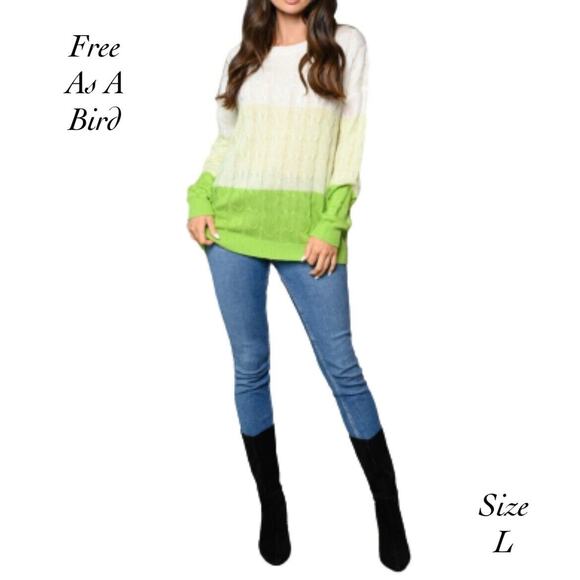 Free As A Bird Cream Green Colorblock Long Sleeve Cable Knit Sweater NIB Size L - Picture 1 of 8